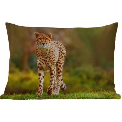 MuchoWow Vnější polštář Živá příroda Tráva Leopard Příroda 60x40 – Zboží Mobilmania