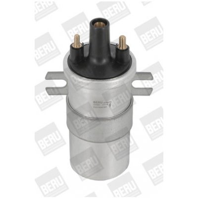 Zapalovací cívka BorgWarner (BERU) ZS565 – Hledejceny.cz