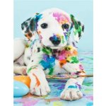 Norimpex Diamantové malování Barevné štěně 30 x 40 cm – Hledejceny.cz