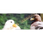 Svařovaná síť 6,3 x 6,3 / 0,5 mm Zn – Sleviste.cz