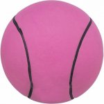 Trixie Míč 3441 – Hledejceny.cz