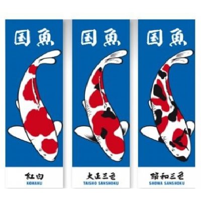 Vlajky motiv KOI set 3 ks (Kohaku, Showa, Sanke) – Hledejceny.cz
