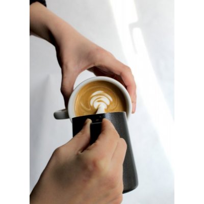 Dos Mundos Základy latte art pro domácí nadšence – Zboží Dáma