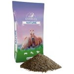 ENERGYS Sladový květ sypký 20 kg – Sleviste.cz