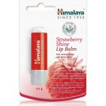 Himalaya Herbals balzám na rty s jahodovým leskem 4,5 g – Zboží Dáma