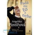 Pintířová Angelika - Padá mi to z nebe – Hledejceny.cz