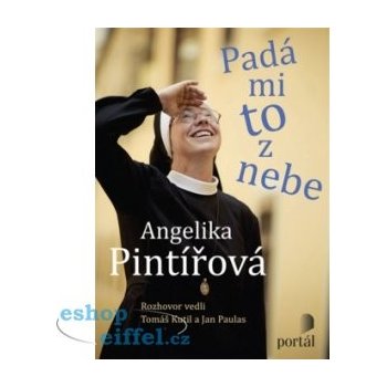 Pintířová Angelika - Padá mi to z nebe