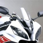 Puig Racing 4635W čirá | Zboží Auto