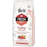 Brit Fresh Beef with Pumpkin Puppy Large 2 x 12 kg – Sleviste.cz