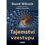 Tajemství vzestupu - Wilcock David – Hledejceny.cz