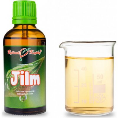 Bylinné kapky Gemmoterapie Jilm pupeny tinktura z pupenů 50 ml – Hledejceny.cz