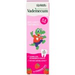 Vademecum Junior Jahoda dětská 50 ml – Hledejceny.cz