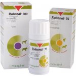 Rubenal - dietní přípravek 300mg 60 tbl – Hledejceny.cz