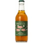 Bacilli fermentovaná limonáda kombucha Jasmín 330 ml – Zboží Dáma Bacilli fermentovaná limonáda kombucha Jasmín 330 ml – Zboží Dáma