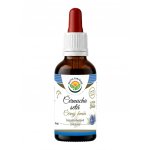 Salvia Paradise Černucha setá černý kmín AF tinktura 50 ml – Hledejceny.cz