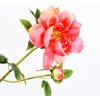Květina Pivoňka růžová/červená 72 cm