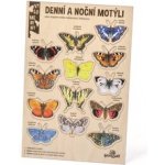 Lesní svět Velké vylomeniny Noční a denní motýli – Hledejceny.cz