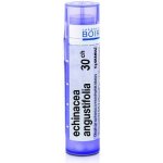 ECHINACEA ANGUSTIFOLIA POR 30CH GRA 1X4G – Hledejceny.cz
