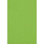 Amscan ubrus papírový 137cm x274cm – Sleviste.cz