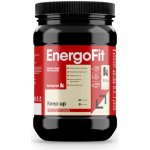 KOMPAVA EnergoFit 500 g – Hledejceny.cz