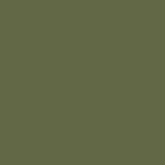 Derwent Watercolour pastelky 51 OLIVE GREEN