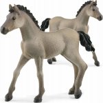 Schleich 13949 Hříbě Criollo Definitivo – Sleviste.cz