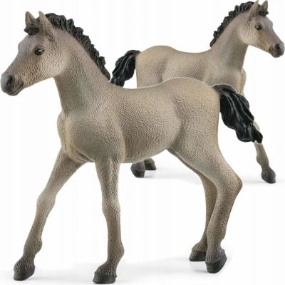 Schleich 13949 Hříbě Criollo Definitivo – Sleviste.cz