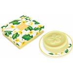 Esprit Provence Monoi tuhé mýdlo s mýdlenkou 100 g – Zboží Dáma