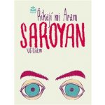 Říkají mi Aram - William Saroyan – Hledejceny.cz
