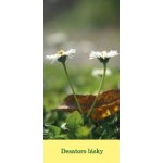 Paulínky Záložka – Desatoro lásky (Z 133 SK) – Sleviste.cz