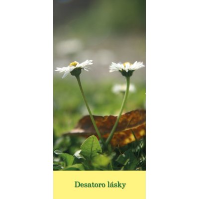 Paulínky Záložka – Desatoro lásky (Z 133 SK) – Sleviste.cz