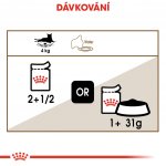 Royal Canin Ageing 12+ Jelly 12 x 85 g – Sleviste.cz