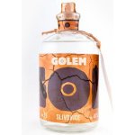 Golem Slivovice 40% 1 l (holá láhev) – Zboží Dáma