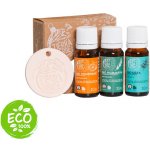 Tierra Verde Zimní sada BIO esenciálních olejů s odpařovačem 3 x 10 ml – Zboží Mobilmania