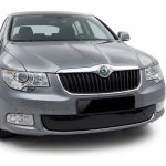 Škoda Superb II 08-13 Zimní clona – Hledejceny.cz