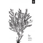 An Elegant Puzzle: Systems of Engineering Management Larson Will – Sleviste.cz