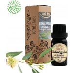 SoZoLe Rose Éterický olej Eukalyptus Radiata 10 ml – Hledejceny.cz