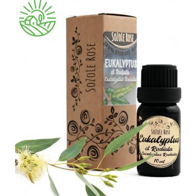 SoZoLe Rose Éterický olej Eukalyptus Radiata 10 ml – Hledejceny.cz