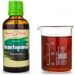 Bylinné kapky Pavlovy bylinné kapky Akantopanax tinktura 50 ml – Hledejceny.cz