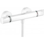 Hansgrohe 13116700 – Hledejceny.cz
