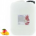 PM Aqualog esence do parních kabin mango 848-005/D 5 l – Hledejceny.cz