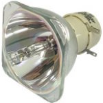 Lampa pro projektor Philips SCREENEO HDP2510, kompatibilní lampa bez modulu – Hledejceny.cz