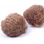 Růže z jericha – Hledejceny.cz