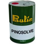 Paulín Ředidlo terpentýnové Pinosolve 1 L – HobbyKompas.cz
