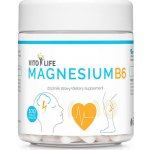 Vito Life Magnesium B6 100 tobolek – Hledejceny.cz