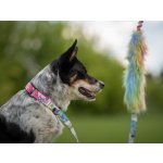 Agility vodítko Rainbow Bungee s amortizérem a hračkou – Hledejceny.cz