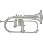 Roy Benson Bb FH 302S Pro Serie postříbřená – Zboží Dáma