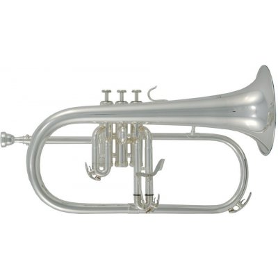 Roy Benson Bb FH 302S Pro Serie postříbřená – Zboží Dáma