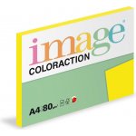 Coloraction 111434 – Hledejceny.cz