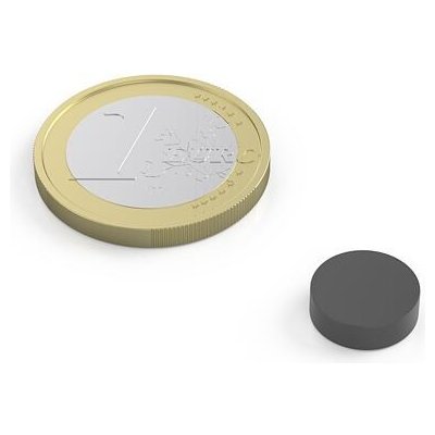 Feritový magnet kotouč Ø 10 mm, v. 3 mm, síla 200 g – Sleviste.cz